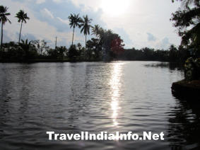 River View from Manor Backwater Resort