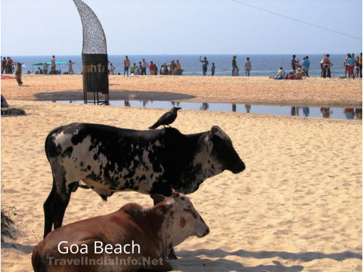 Goa Beach  TravelIndiaInfo.Net
