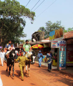 horse ride matheran