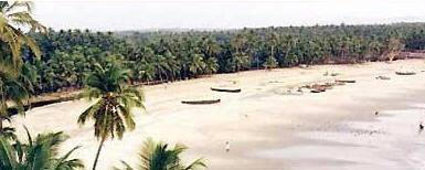 kerala beaches