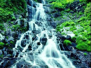 waterfall darjeeling