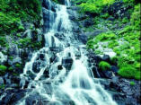 waterfall darjeeling