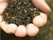 Tea Leaves Darjeeling